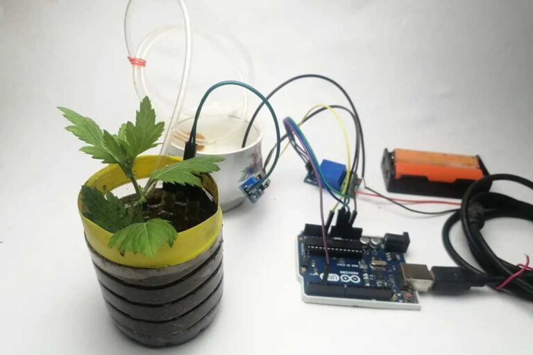 How to Use Arduino Uno to Build an Automatic Plant Watering System ...